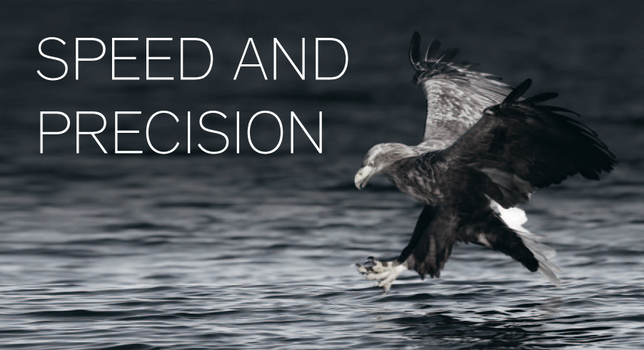 Oertli Adler - SPEEP - Speed and precision Adler am Wasser